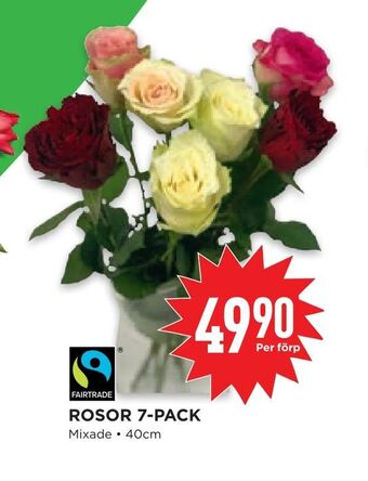 Willys Hemma Rosor 7-pack erbjuda