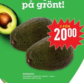 Avokado