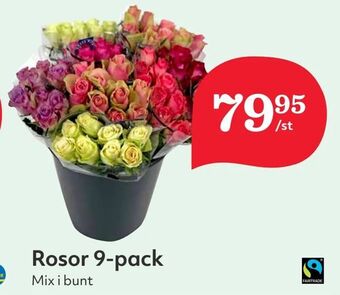 Hemköp Rosor 9-pack erbjuda