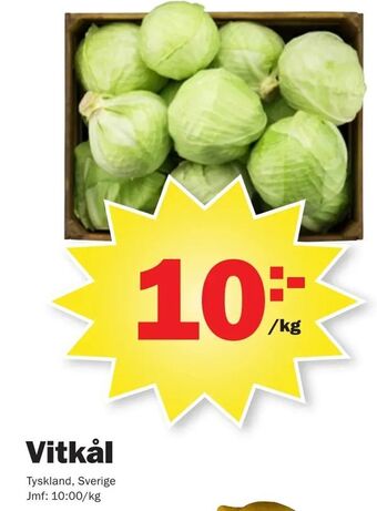 Pekås Vitkål erbjuda