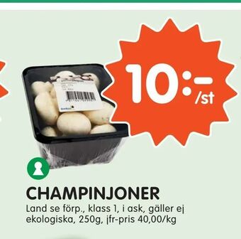 Tempo Champinjoner erbjuda