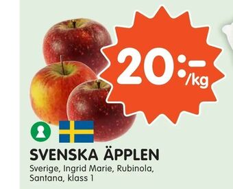 Tempo Svenska äpplen erbjuda