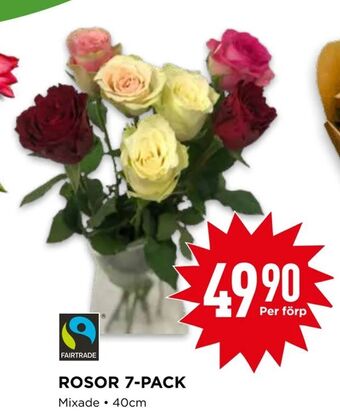 Willys Rosor 7-pack erbjuda