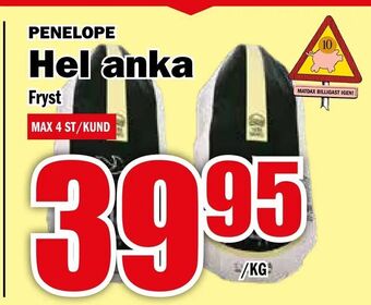 Hel anka