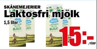 Matdax Laktosfri mjölk erbjuda