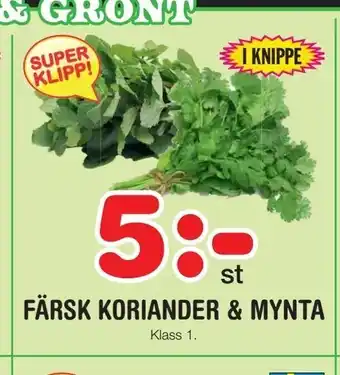 Nya Pulsen Färsk koriander & mynta erbjuda