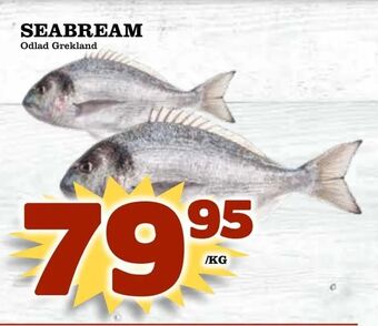 Matvärlden Tensta Seabream erbjuda