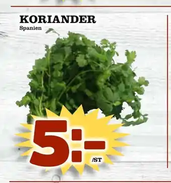 Matvärlden Tensta Koriander erbjuda