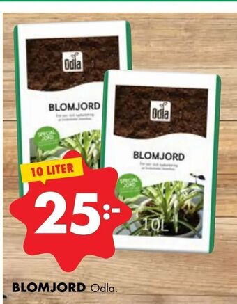 ÖoB Blomjord erbjuda