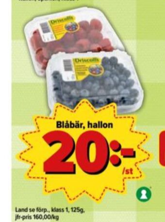 Östenssons Driscolls Blåbär erbjuda