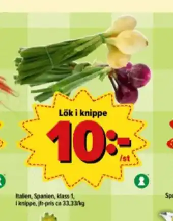 Rödlök