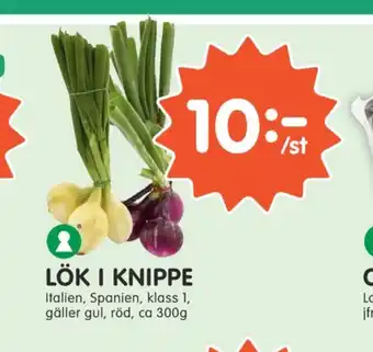Tempo Lök erbjuda