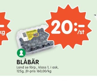 Tempo Driscolls Blåbär erbjuda