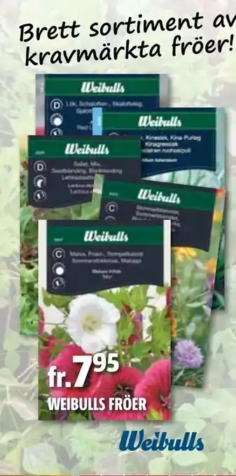 Weibulls fröer