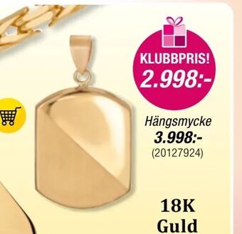 Guldfynd Hängsmycke erbjuda