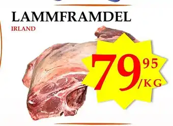 Lammframdel