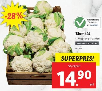 Lidl Blomkål erbjuda