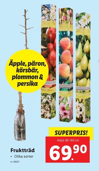 Lidl Fruktträd erbjuda