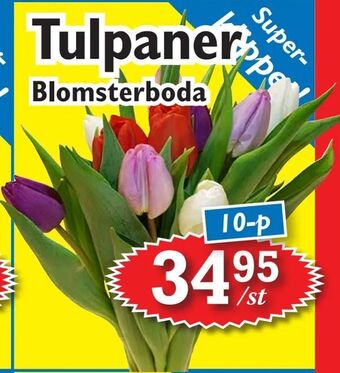 T-jarlen Tulpaner erbjuda