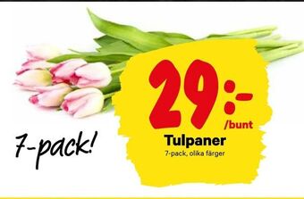 City Gross Tulpaner erbjuda