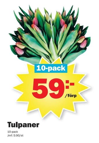 Pekås Tulpaner erbjuda