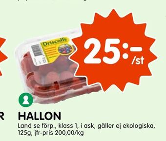 Tempo Hallon erbjuda