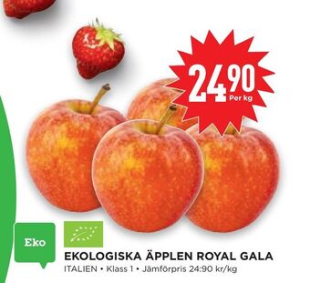 Willys Hemma Ekologiska äpplen royal gala erbjuda
