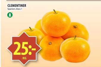 Matvärlden Tensta Clementiner erbjuda