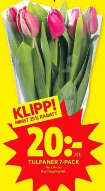 ICA Kvantum Tulpaner 7-Pack erbjuda