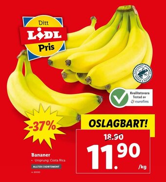 Lidl Bananer erbjuda