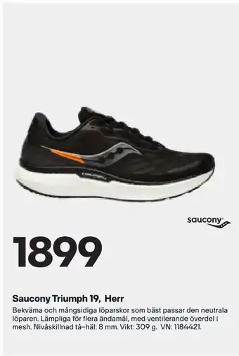 Saucony Triumph 19, Herr