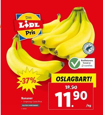 Lidl Bananer erbjuda