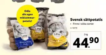 Svensk sättpotatis