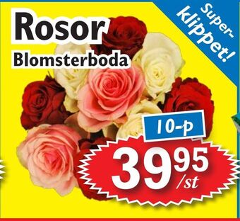 T-jarlen Rosor erbjuda