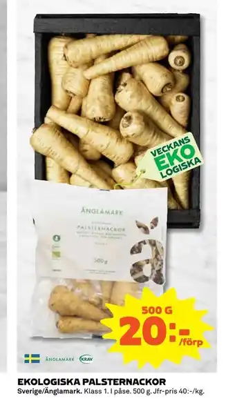Ekologiska palsternackor