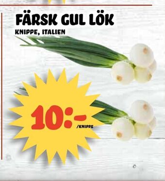 Nelins Färsk gul lök erbjuda