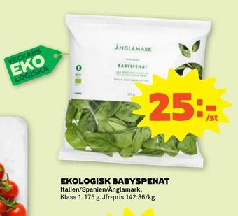 Stora Coop Ekologisk babyspenat erbjuda