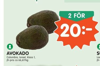 Tempo Avokado erbjuda