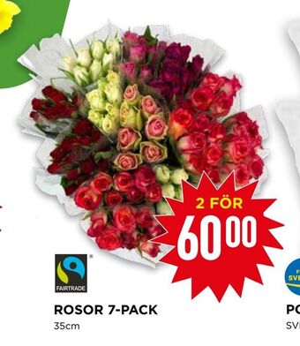 Willys Rosor 7-pack erbjuda