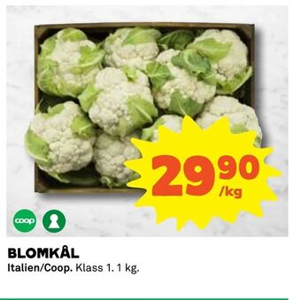 Coop Blomkål erbjuda
