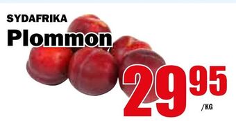 Matdax Plommon erbjuda