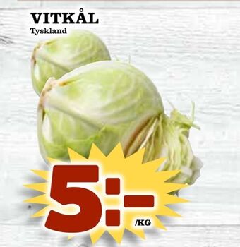 Vitkål