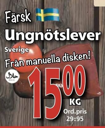 Supergrossen Ungnötslever erbjuda