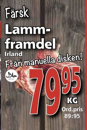 Supergrossen Lammframdel erbjuda