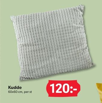 DollarStore Kudde erbjuda