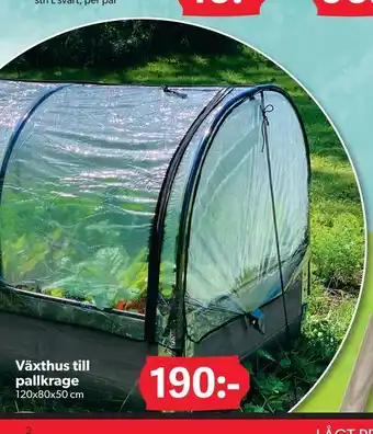 Växthus till pallkrage