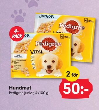 DollarStore Hundmat erbjuda
