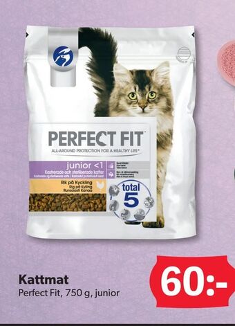 DollarStore Kattmat erbjuda