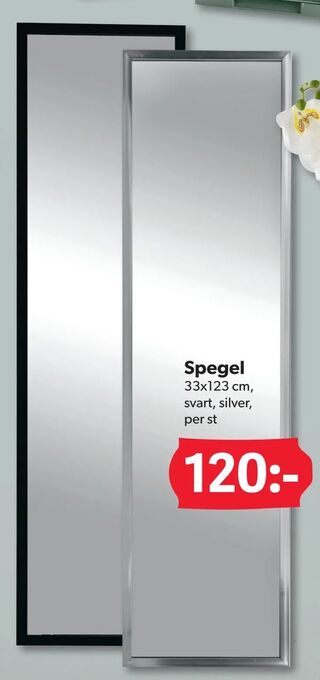 DollarStore Spegel erbjuda