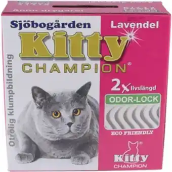 Kattsand sjöbogårdens kitty champion lavendel